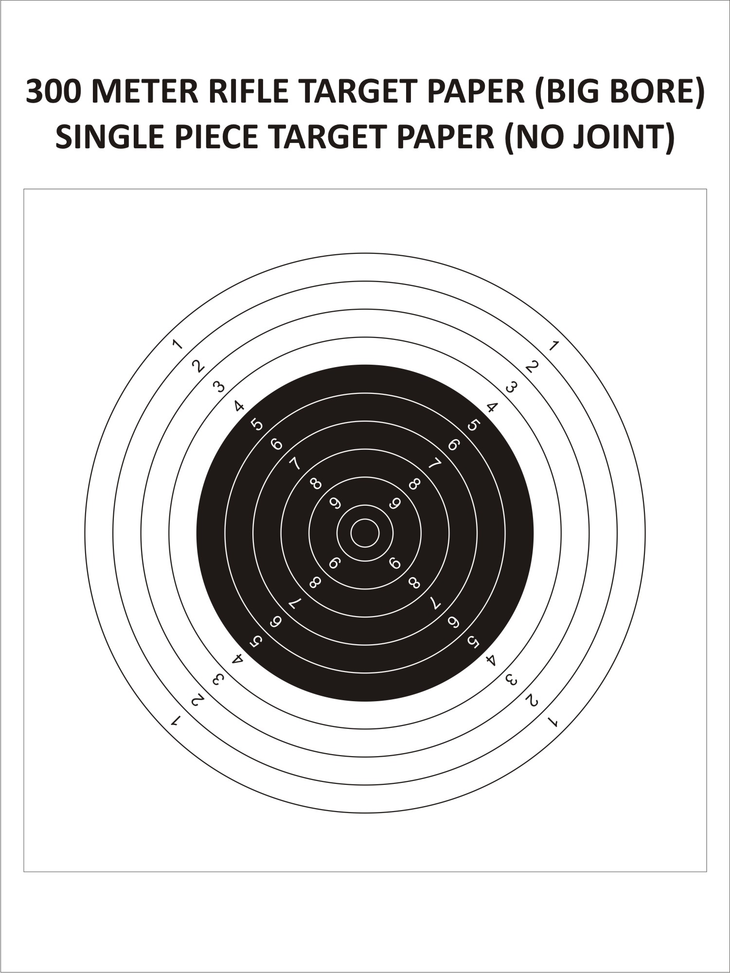 Big Bore Target(100 Metres)